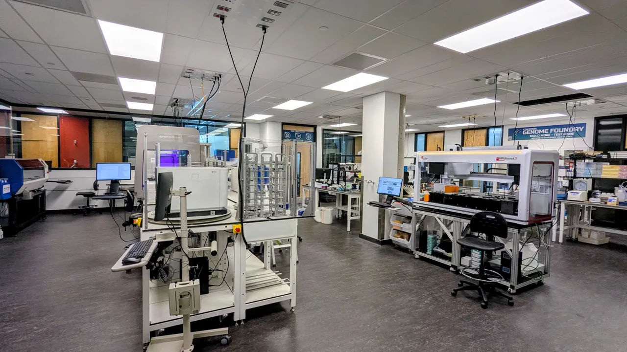 Concordia Genome Foundry laboratory space