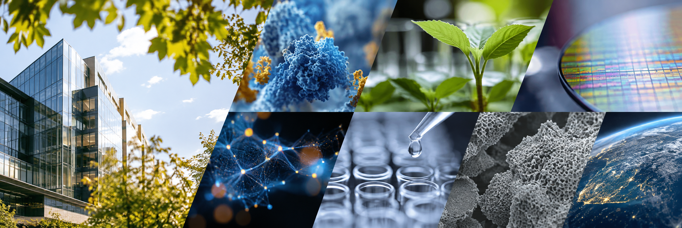 Concordia researchers collaborating on scientific projects